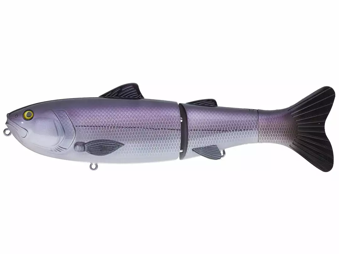 Baitsanity Explorer Glide Gen 2 8 Baitsanity Explorer Glide Gen 2