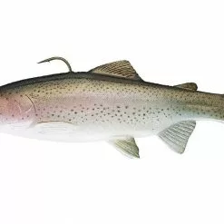 Huddleston 10" Deluxe Trout Swimbaits