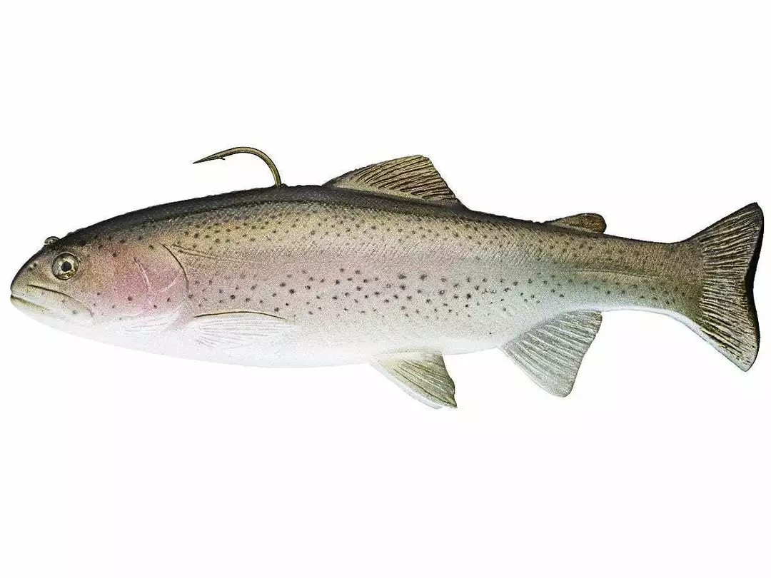 Huddleston 10" Deluxe Trout Swimbaits 3 Huddleston 10" Deluxe Trout Swimbaits