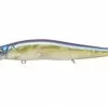 Megabass Vision 110 FX Tour Premium