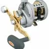 Daiwa Saltist Levelwind Reels 2 Daiwa Saltist Levelwind Reels