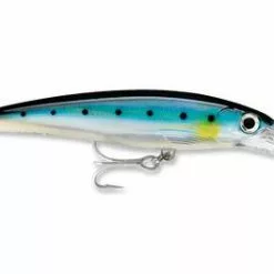 Rapala X-Rap XRMAG-10 Divebait 10'