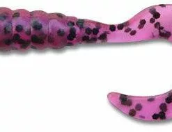 Freshwater Big Hammer Perch Grubs