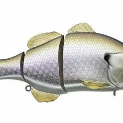 Jackall Gantarel Jr Bluegill Swimbait Freshwater 18 Jackall Gantarel Jr Bluegill Swimbait Freshwater
