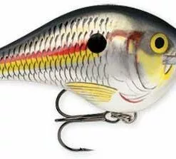 Rapala DT (Dives-To) Crankbait Freshwater