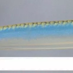 Basstrix Flash Trix 3" Freshwater