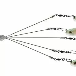 Picasso School-E-Rig Freshwater