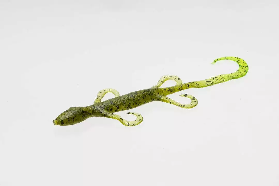 Freshwater Zoom Lizard 10 Freshwater Zoom Lizard