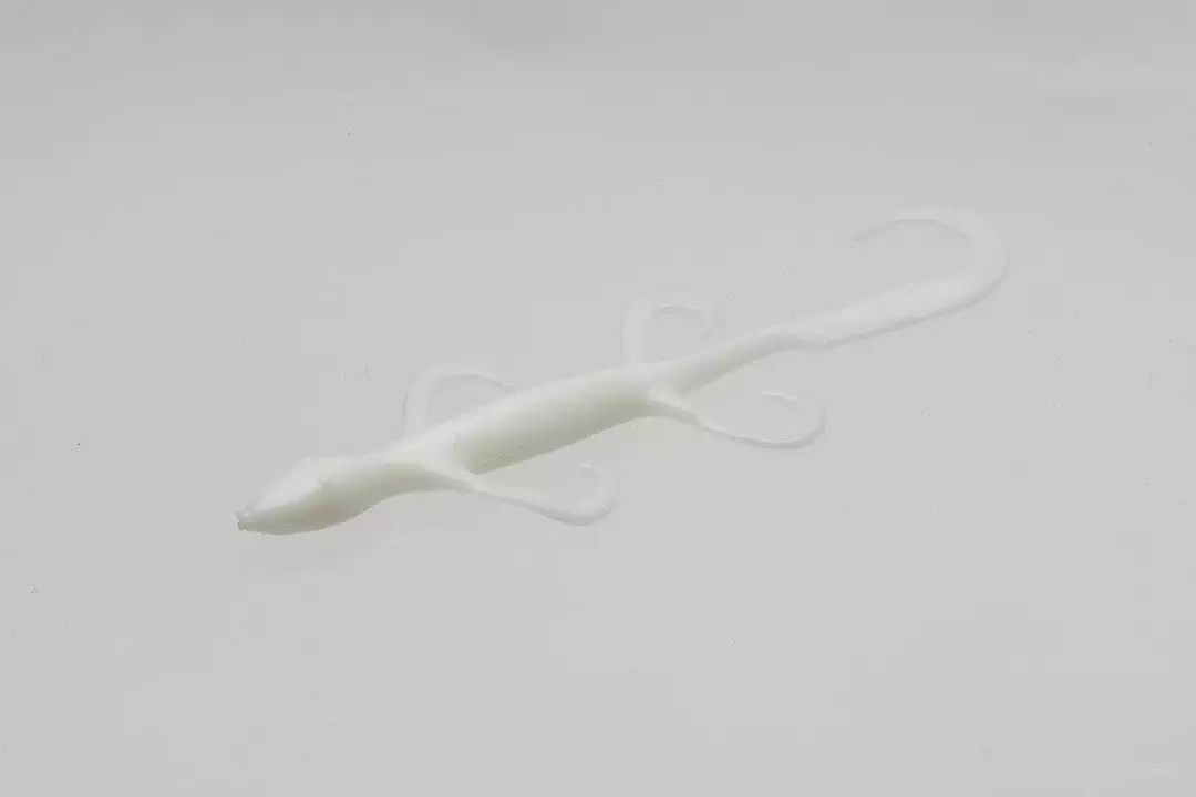 Freshwater Zoom Lizard 11 Freshwater Zoom Lizard